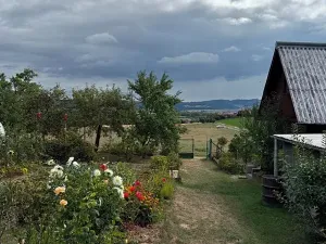 Prodej chaty, Velké Opatovice, Čihadlo, 12 m2