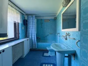 Pronájem rodinného domu, Tuřice, 160 m2