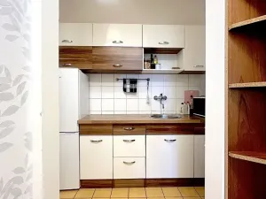 Pronájem bytu 1+1, Brno, Tábor, 30 m2