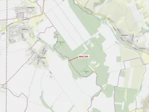 Dražba lesa, Přísnotice, 31 m2