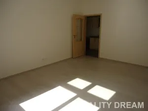 Pronájem bytu 2+1, Praha - Žižkov, Viklefova, 40 m2