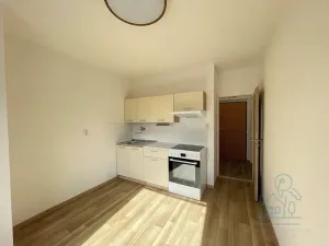 Pronájem bytu 1+1, Příbram, Čechovská, 46 m2