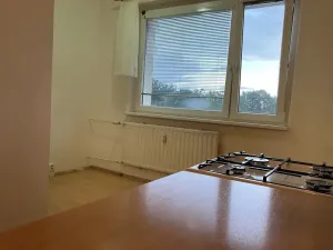 Prodej bytu 1+1, Chomutov, Hutnická, 39 m2