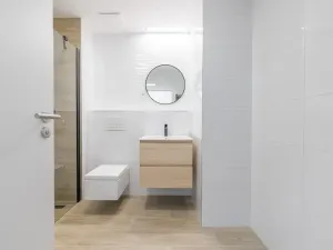 Prodej bytu 1+kk, České Budějovice, U Branišovského lesa, 46 m2