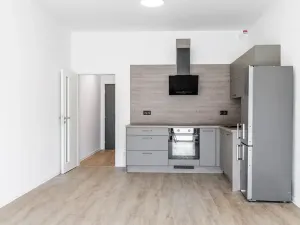 Prodej bytu 1+kk, České Budějovice, U Branišovského lesa, 46 m2