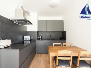 Pronájem bytu 1+kk, Praha - Karlín, Breitfeldova, 45 m2