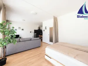 Pronájem bytu 1+kk, Praha - Karlín, Breitfeldova, 45 m2