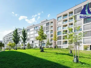 Pronájem bytu 1+kk, Praha - Karlín, Breitfeldova, 45 m2