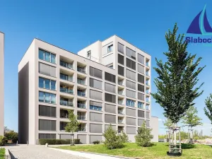 Pronájem bytu 1+kk, Praha - Karlín, Breitfeldova, 45 m2
