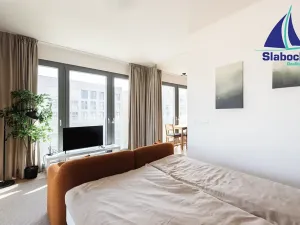 Pronájem bytu 1+kk, Praha - Karlín, Breitfeldova, 63 m2
