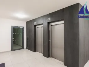 Pronájem bytu 1+kk, Praha - Karlín, Breitfeldova, 63 m2