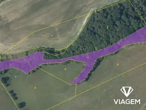 Prodej lesa, Nižbor, 9440 m2