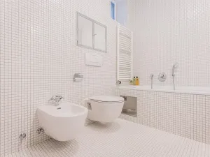 Pronájem bytu 3+kk, Praha - Vinohrady, Jana Masaryka, 132 m2