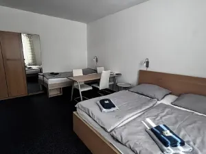 Pronájem bytu 1+kk, Ostrava, Zalužanského, 25 m2