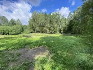 Prodej louky, Trhové Sviny - Otěvěk, 10951 m2