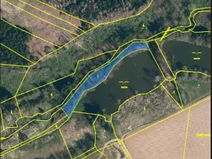 Prodej lesa, Nová Cerekev, 2440 m2