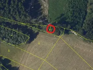 Prodej lesa, Ždírec nad Doubravou, 900 m2