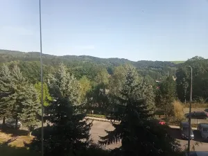 Prodej bytu 2+1, Velké Hamry, 53 m2