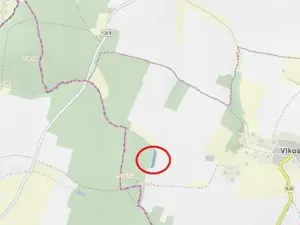 Prodej lesa, Černovice, 2403 m2