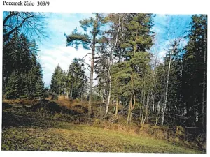Prodej lesa, Ždírec nad Doubravou, 21716 m2