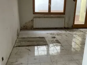 Prodej rodinného domu, Rosice, U Sýpky, 345 m2