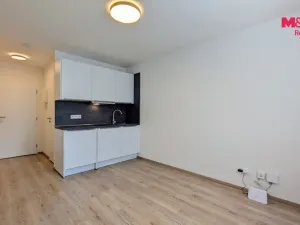 Pronájem bytu 1+kk, Praha - Vršovice, Kubánské náměstí, 19 m2