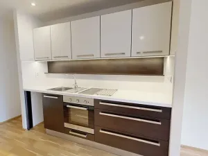 Pronájem bytu 2+kk, Brno, Fryčajova, 55 m2