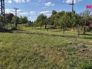 Prodej zahrady, Mikulčice - Těšice, 636 m2