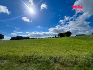 Prodej rodinného domu, Kostelec nad Černými lesy - Kostelec nad Černými Lesy, 750 m2