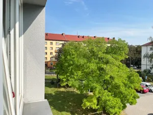 Pronájem bytu 2+1, Pardubice, Josefa Ressla, 66 m2
