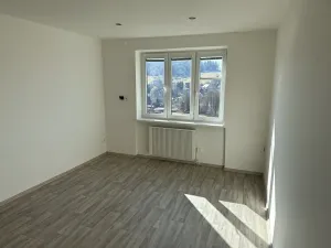 Pronájem bytu 2+1, Držkov, 56 m2