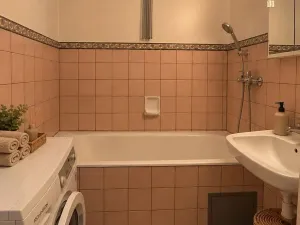 Prodej bytu 2+1, Plasy, Stará cesta, 60 m2