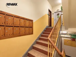 Prodej bytu 2+1, Plasy, Stará cesta, 60 m2