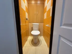 Pronájem bytu 2+1, Most, Hutnická, 55 m2