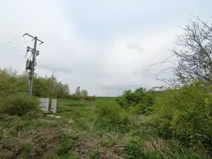 Prodej pole, Praha, 4479 m2