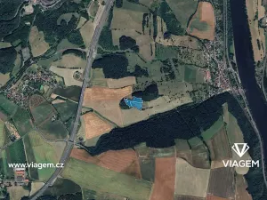 Prodej podílu lesa, Prackovice nad Labem, 2761 m2