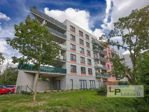 Prodej bytu 3+kk, Pardubice - Zelené Předměstí, Pod Vinicí, 111 m2