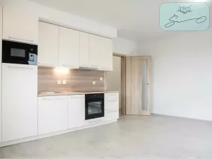 Pronájem bytu 1+kk, Heřmanova Huť, U Pondu, 34 m2