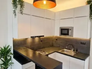 Pronájem bytu 1+1, Praha - Nusle, Nuselská, 42 m2