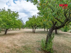 Prodej zemědělské usedlosti, Přešťovice, 100 m2