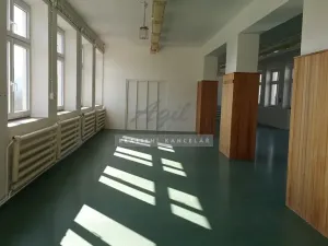 Pronájem výrobních prostor, Česká, 270 m2
