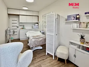 Prodej rodinného domu, Žatec - Bezděkov, 930 m2