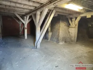 Pronájem skladu, Praha - Sedlec, Kamýcká, 100 m2