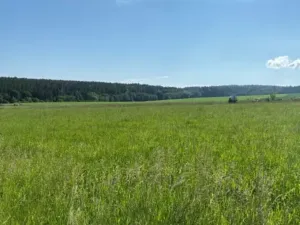 Prodej pozemku pro bydlení, Zbizuby, 8669 m2