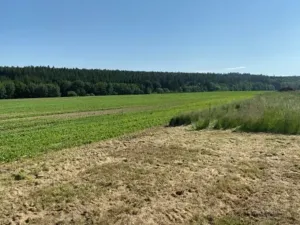 Prodej pozemku pro bydlení, Zbizuby, 8669 m2