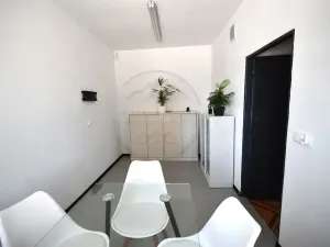 Prodej rodinného domu, Mikulovice, Hlucholazská, 417 m2