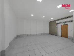 Prodej komerční nemovitosti, Praha, Vlkova, 48 m2