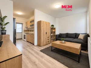 Prodej bytu 1+1, Nový Jičín, Žižkova, 30 m2