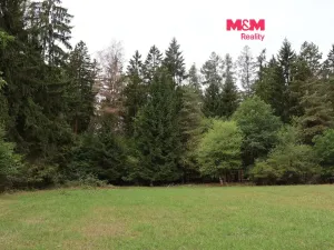 Prodej lesa, Chanovice - Újezd u Chanovic, 1762 m2