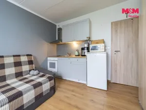 Pronájem bytu 1+kk, Mariánské Lázně - Úšovice, Česká, 20 m2